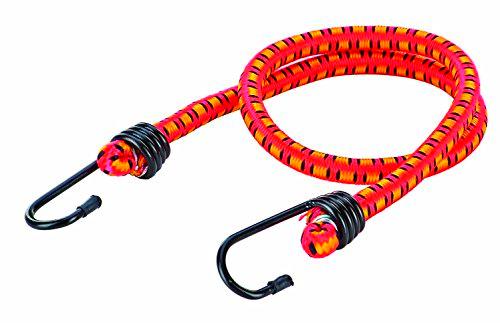 Prophete portaequipajes de Correa, Multicolor, L