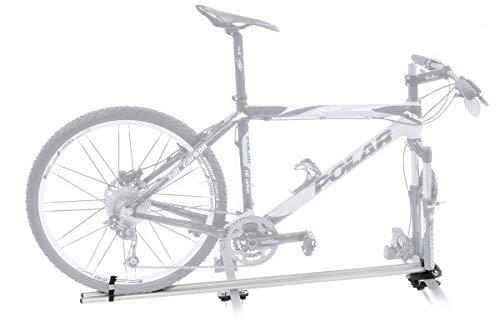 Avenir - Guantes Unisex, Color Plateado